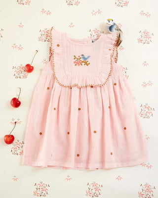 Pink Embroidered Floral Bird Baby Dress
