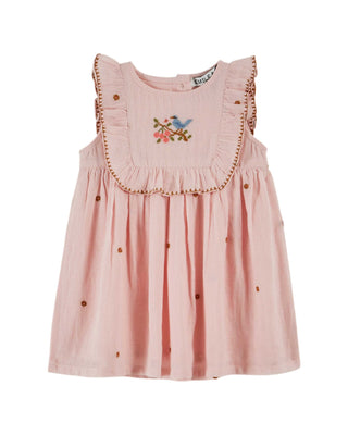Pink Embroidered Floral Bird Baby Dress

