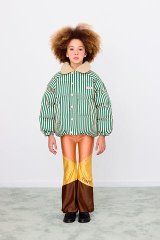 Vanilla and Dark Green Striped Padded Jacket
