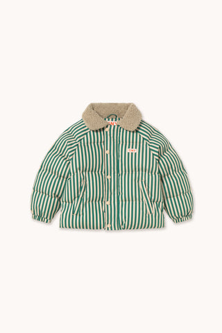 Vanilla and Dark Green Striped Padded Jacket
