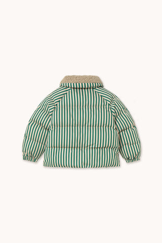 Vanilla and Dark Green Striped Padded Jacket
