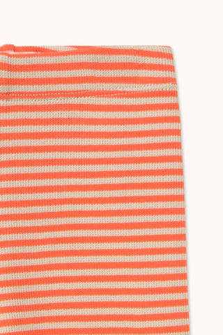 Stripes Rib Baby Pant
