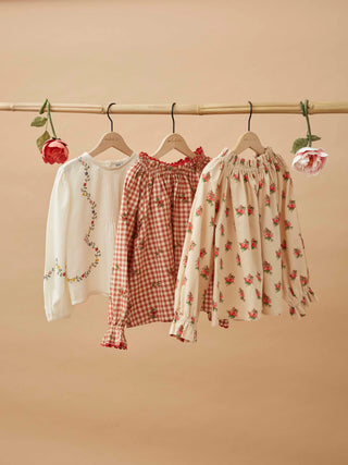 Embroidered Terracotta Gingham Blouse
