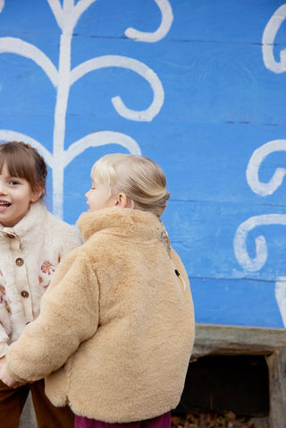 Rossina Coat in Nuts

