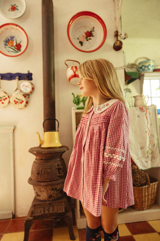 Raspberry Check Delina Dress
