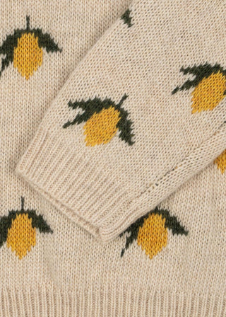 Merino Wool Lemon Knit Sweater
