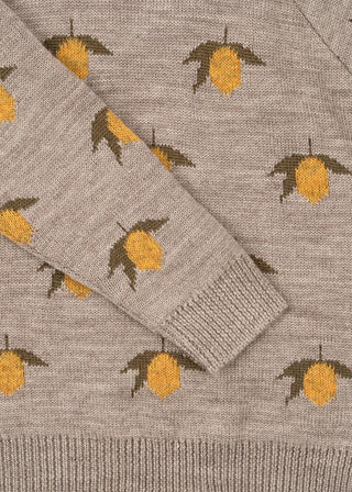 Merino Wool Lemon Knit Sweater
