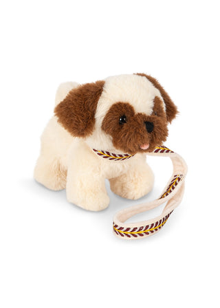 Pepi the Pet Pug
